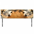 thumbnail image 3 of Safari Headboard, Close-up Tiger Eyes Hunter Look Feline Camouflage Coat Animal with Shady Colors, Upholstered Decorative Metal Bed Headboard with Memory Foam, King Size, Orange Black, by Ambesonne, 3 of 4