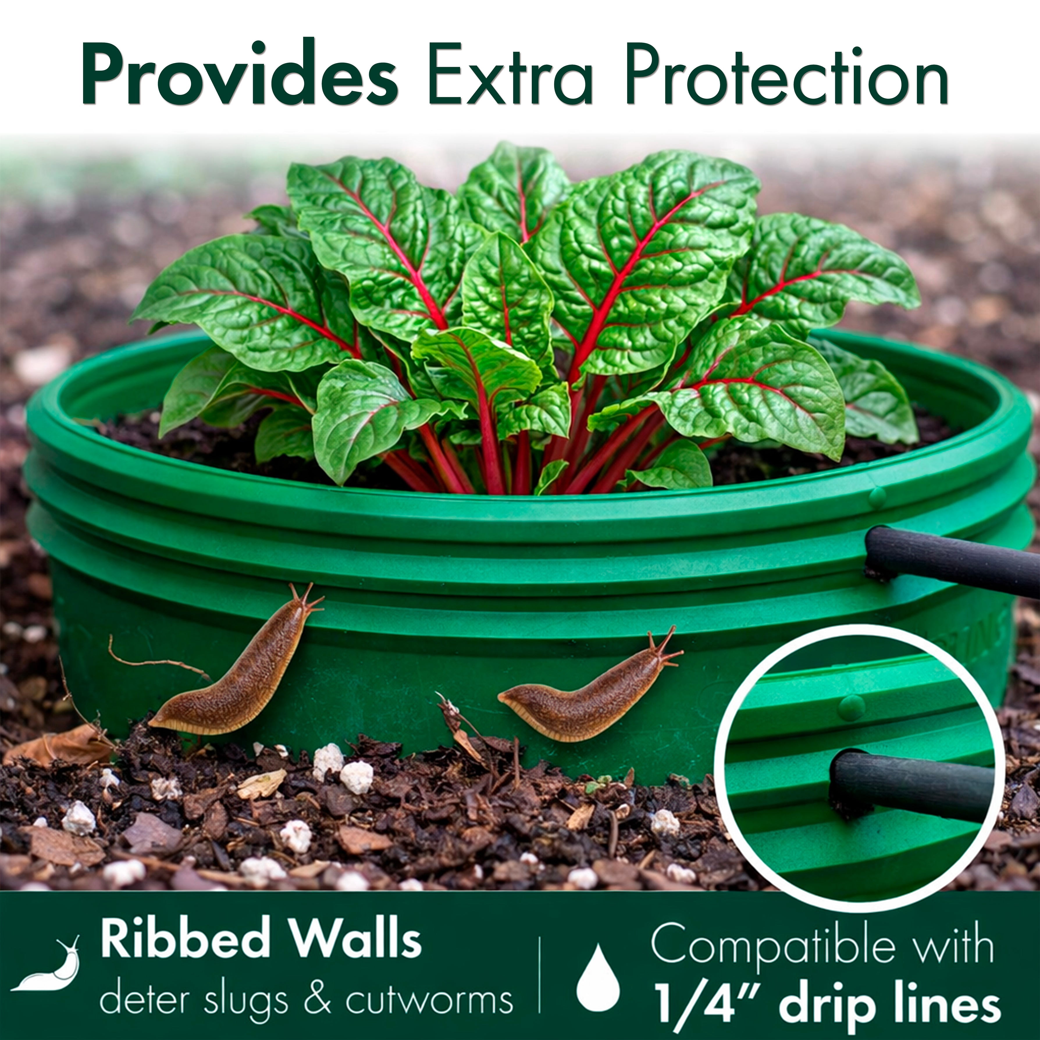 Rooted Promise 7 inch Solid Planting Grow Rings, Perfect for Deep Watering Veggies Herbs and Flowers, Protection and Edging of Garden Plants, Mix Color, Made in The USA - Pack of 4