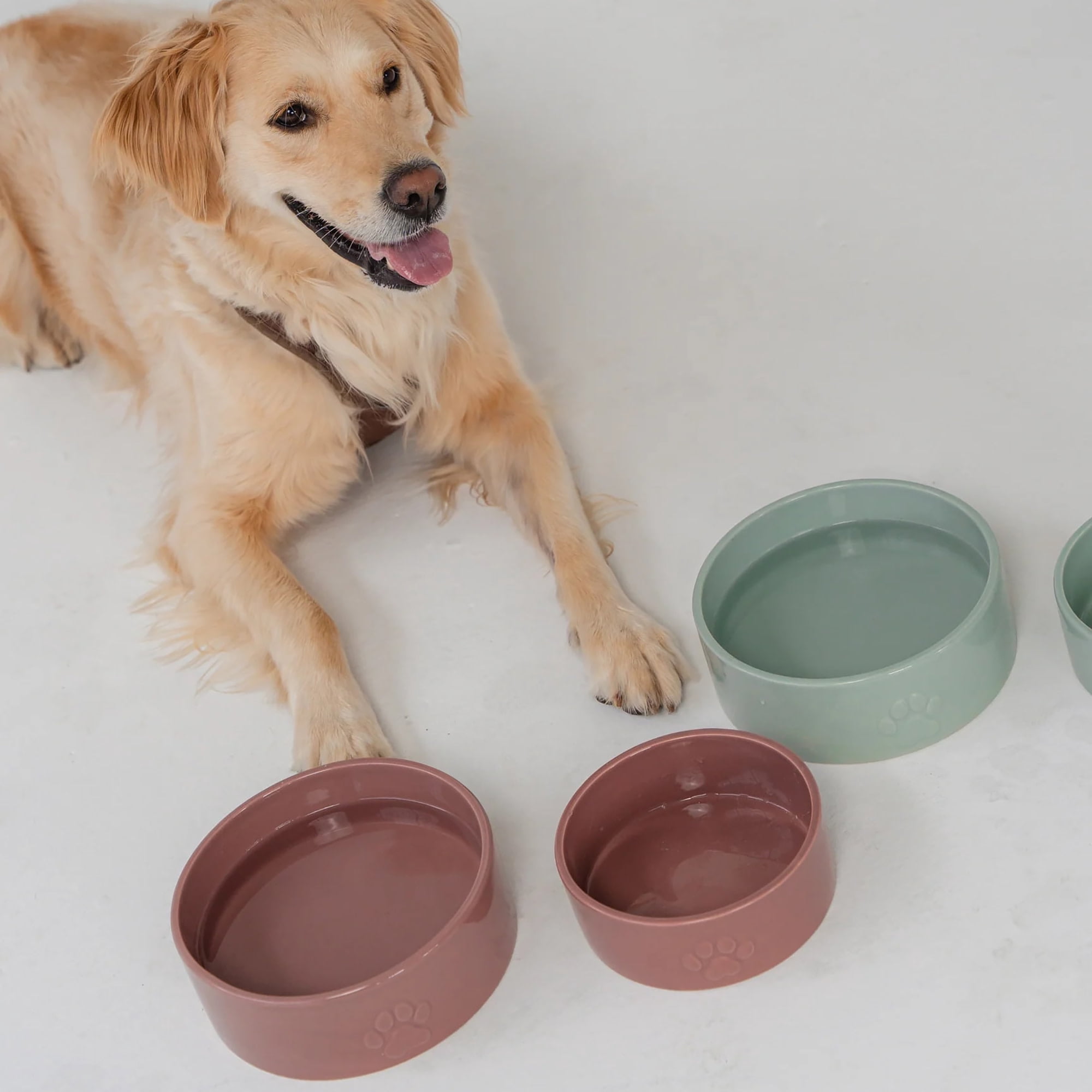 Dexypaws: Ceramic Dog Bowl: Blush Pink - 26oz - Pet Feeding Dish, Meals, Food & Water, Dishwasher Safe, Non-Toxic, Non-Tip Design, Stylish Paw Print