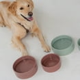 thumbnail image 6 of Dexypaws: Ceramic Dog Bowl: Blush Pink - 26oz - Pet Feeding Dish, Meals, Food & Water, Dishwasher Safe, Non-Toxic, Non-Tip Design, Stylish Paw Print, 6 of 10
