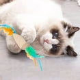 thumbnail image 5 of 2Pcs Interactive Cat Toys for Indoor Cats, Cat Ball Toy with Colorful Feathers, Cat Teeth Grinding Teeth Cleaning Toys, 5 of 5