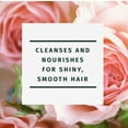 thumbnail image 4 of Herbal Essences Collection Smooth Shampooing et après-Shampooing, 1,73 L au Total (2 Unités de 865 ml Chacune), 4 of 6