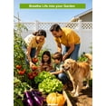 thumbnail image 4 of RitualBoxy 12 Vegetable Seed Variety Pack – 6,000+ Non-GMO Seeds, Heirloom, High Germination Rate – Home Garden Seed for Hydroponic, Indoor and Outdoors Gardening, 4 of 6