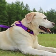 thumbnail image 3 of HAHDAXIA Collier Martingale pour Chiens avec Boucle à Dégagement Rapide, Collier Réfléchissant Robuste pour Chiot pour la Sécurité, Colliers en Nylon Ajustables pour Chiens Moyens pour la Marche et l'Entraînement, Violet, m, 3 of 7