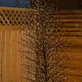 thumbnail image 1 of 5.8 Ft H Black LED Birch Tree 2000 Warm White LEDs Indoor/Outdoor use Christmas Tree Holiday Home Living Roon Decoration, 1 of 4