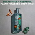 thumbnail image 2 of Dove Men+Care Body Wash OIF8&nbsp;Eucalyptus + Cedar Oil to Rebuild Skin in the Shower with Plant-Based Cleansers and Moisturizers 26 oz, 2 of 3