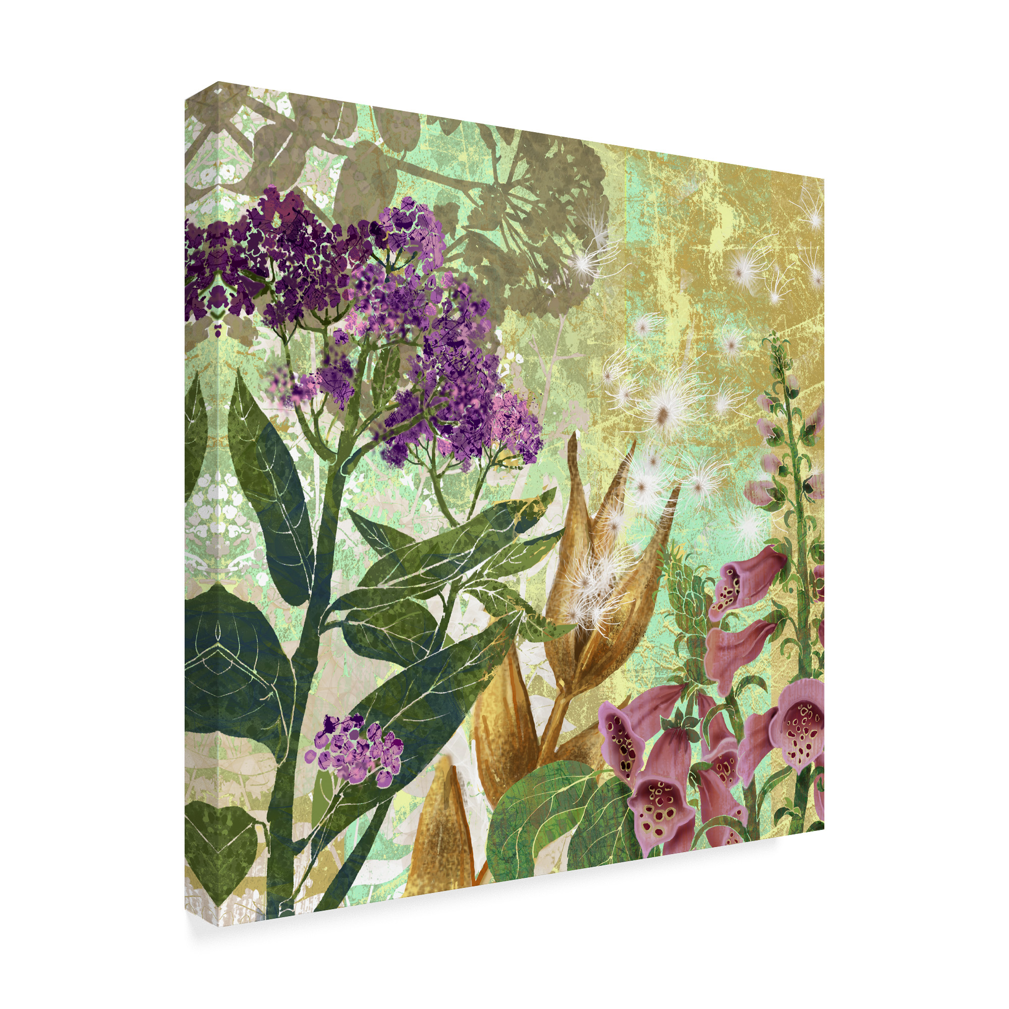 Trademark Fine Art 'Foxglove Meadow II' Canvas Art by Roberta Collier-Morales