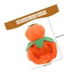 thumbnail image 2 of IFANLANDOR Pet Accessories Pet Hat Plush Orange Decorative 1 Set for Cats, 2 of 5