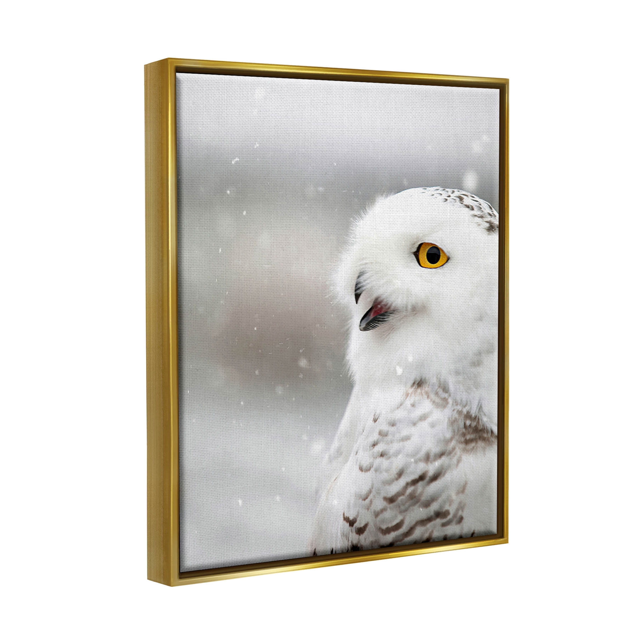 Stupell Industries Snowy Owl Winter Gaze Photograph Metallic Gold Floating Framed Canvas Print Wall Art, Design by Carrie Ann Grippo-Pike