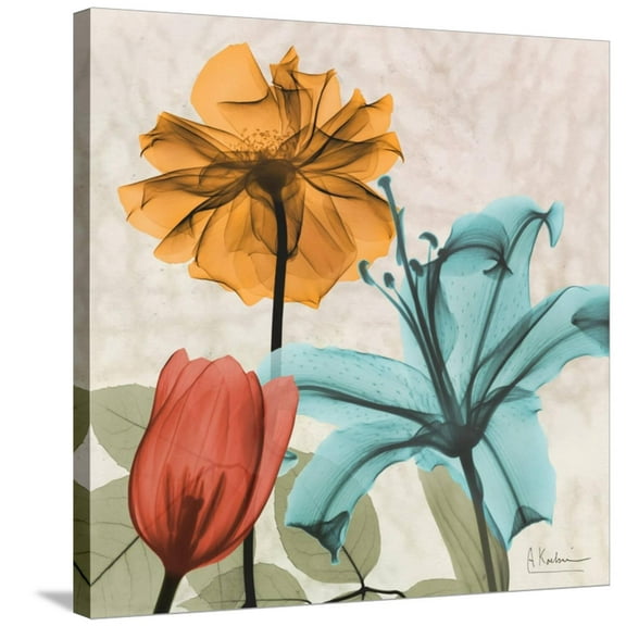 Art.com Spice Avalon X Stretched Canvas Print Wall Art by Albert Koetsier, 30" x 30"