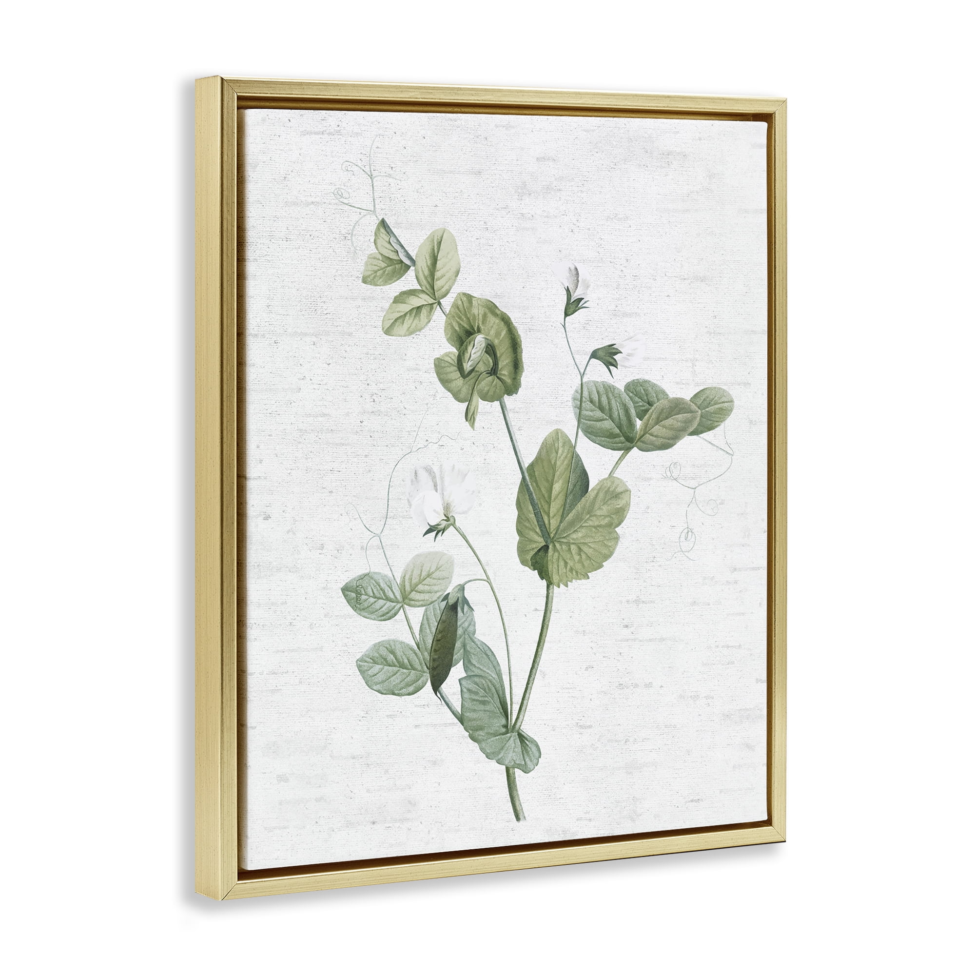 Stupell Industries Soft Country Botanical Botanical & Floral Painting Gold Floater Framed Art Print Wall Art, 17 x 21
