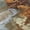Paprika, variant on Addison Rugs Mayfield Premium Machine Washable Transitional Abstract Paprika Rectangle Rug, 10' x 14'