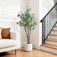 thumbnail image 2 of Artificial Eucalyptus Plant in Pot, 6Ft Indoor Large Fake Plant Potted, Plastic Tall Eucalyptus Tree, Faux Plants for Home Living Room Bedroom Entryway Garden Study Office Hotel Lobby Wedding Decor, 2 of 8