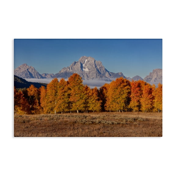Autumn Tree Line With Mountain Canvas Wall Art, design by Shelley Carlisle