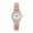 801-3, variant on Ladies' casual fashion watch, small dial, student quartz watch