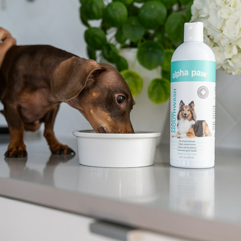 Dog mouthwash walmart cheap