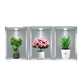 3pcs Effect Potted Plant Decals Aisle Staircase Decorative Painting