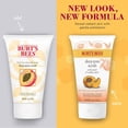 thumbnail image 4 of Burt's Bees Peach & Willowbark Deep Pore Scrub 4 oz (Pack of 4), 4 of 6