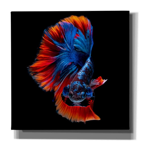 Epic Graffiti 'Flamenco Fighter' by Epic Portfolio, Giclee Canvas Wall Art, 18"x18"