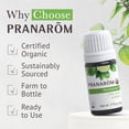 thumbnail image 2 of Pranarom - Tranquility Essential Oil Blend (5ml) - Lemon, Bergamot, Distilled Lime, Petitgrain, Spearmint, Orange - 100% Pure Essential Oil for Grounding & Clarity|USDA and ECOCERT Certified Organic, 2 of 7