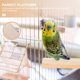 thumbnail image 2 of 3pcs Safe Pet Pet Platform Pedal Pedal Hámster Board Long Standing Toy Pet Supply, 2 of 5