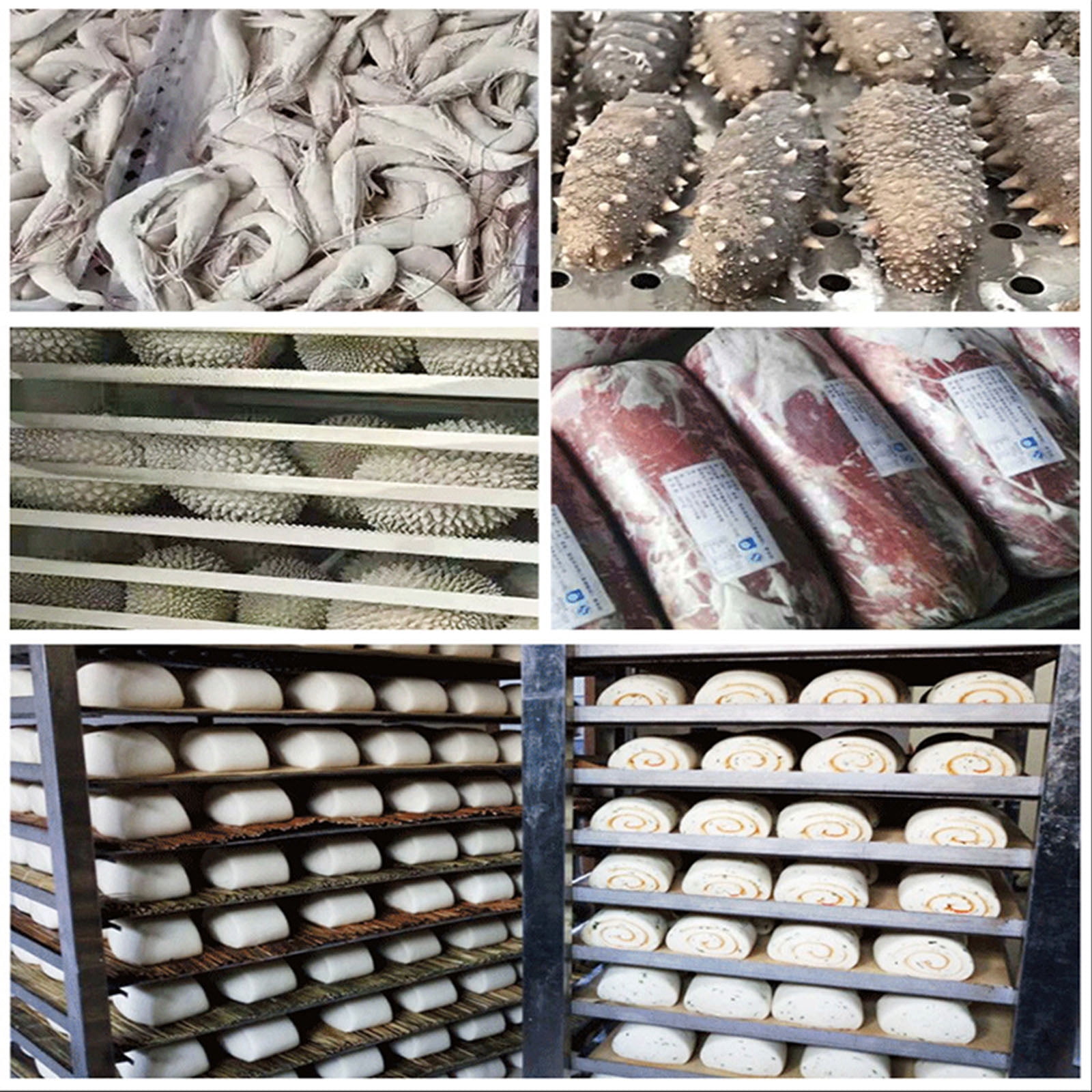 Kolice Commercial 5 Trays Blast Chiller Freezer, Blast Freezer, Chest Freezer, Batch Freezer -40C (-40°F)for Restaurant, Hotel Kitchen