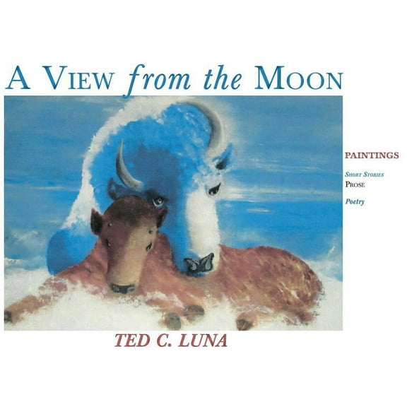 A View from the Moon (Hardcover) (Hardcover)