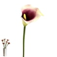 thumbnail image 4 of Riguas Artificial Common Calla Lily Realistic Fake Flower Stem Home Office Wedding Party Indoor Outdoor Faux Bloom Centerpiece Decoration, 4 of 7