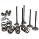 thumbnail image 5 of Piezas De ATV, Kit De Válvula De Escape De Admisión De Cilindro De Acero Confiable Reemplazo Duradero Para YAMAHA GRIZZLY 660 YFM660F 4WD 2002-2008 Para Reparación ANGGREK CI1618, 5 of 8