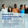 thumbnail image 5 of Superior Source No Shot Vitamin B-12 Cyanocobalamin 5000 mcg, B-6, Folic Acid 800 mcg - Support Brain & Heart Health - Aids Natural Energy Levels - 100 Sublingual Dissolving Tablets, 5 of 8