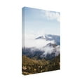 thumbnail image 2 of Laura Marshall 'Hurricane Ridge I' Canvas Art, 2 of 4
