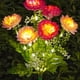 thumbnail image 1 of Estacas de jardín exterior para luces solares de loto, luces solares LED para el sendero de jardín, decoración impermeable de seda para césped en patio, 1 pack, 1 of 6
