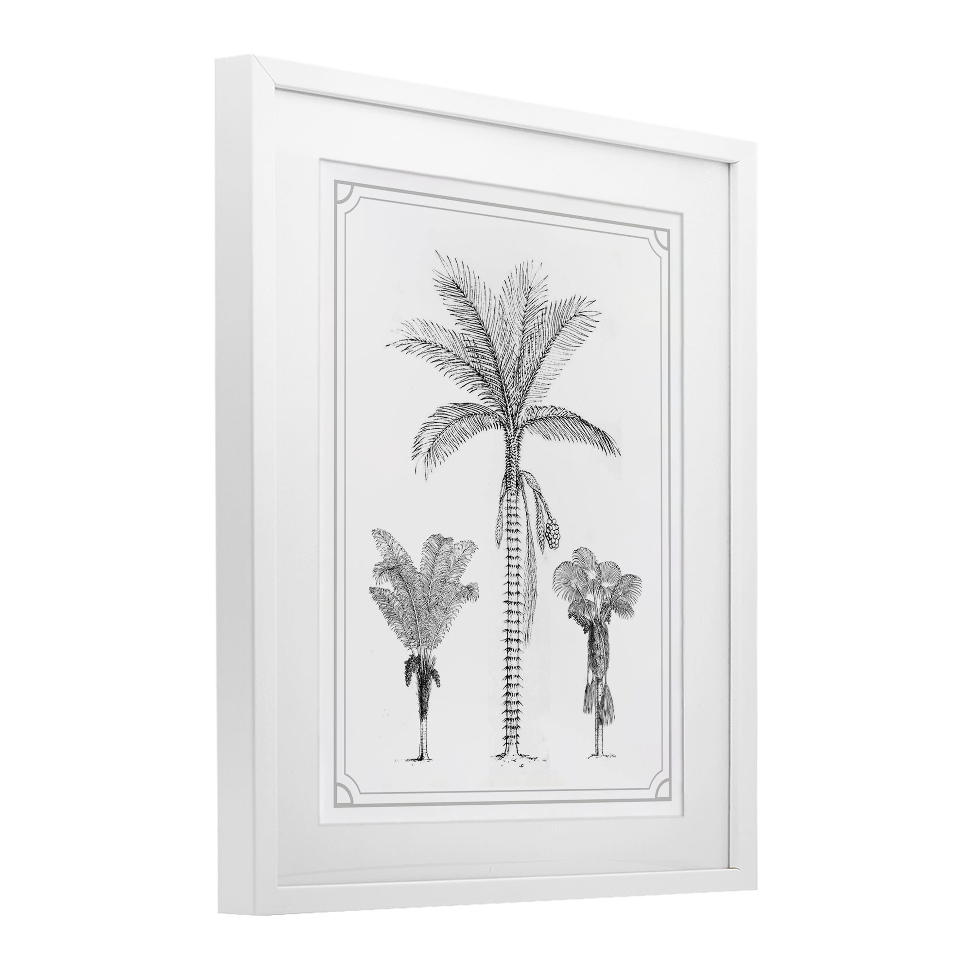 Palm Tree Trio Sketches White Framed Print Under Glass, design by Lettered and Lined