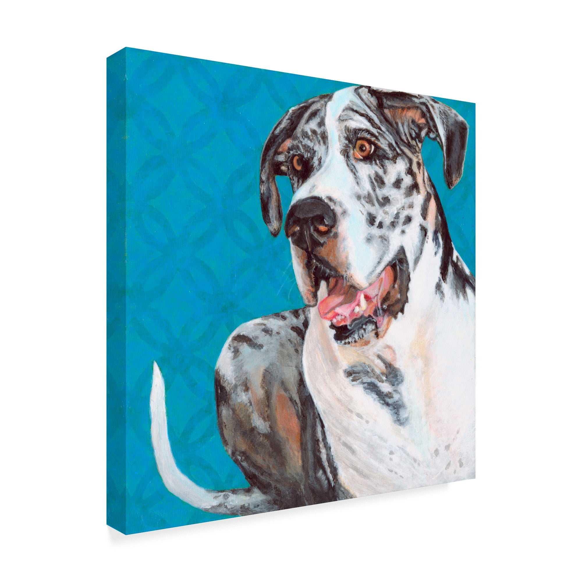 Trademark Fine Art 'Dlynns Dogs Apollo' Canvas Art by Dlynn Roll