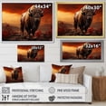thumbnail image 4 of Designart "Bison Silent II" Animals Floater Framed Canvas Art Print, 4 of 7