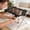 Black, variant on Detachable Pet Grooming Bed and Hammock for Small Dogs and Cats, Scratch Resistant Bathing Rack, Nail Trimming Grooming Station, Washable Pet Mat for Home and Travel