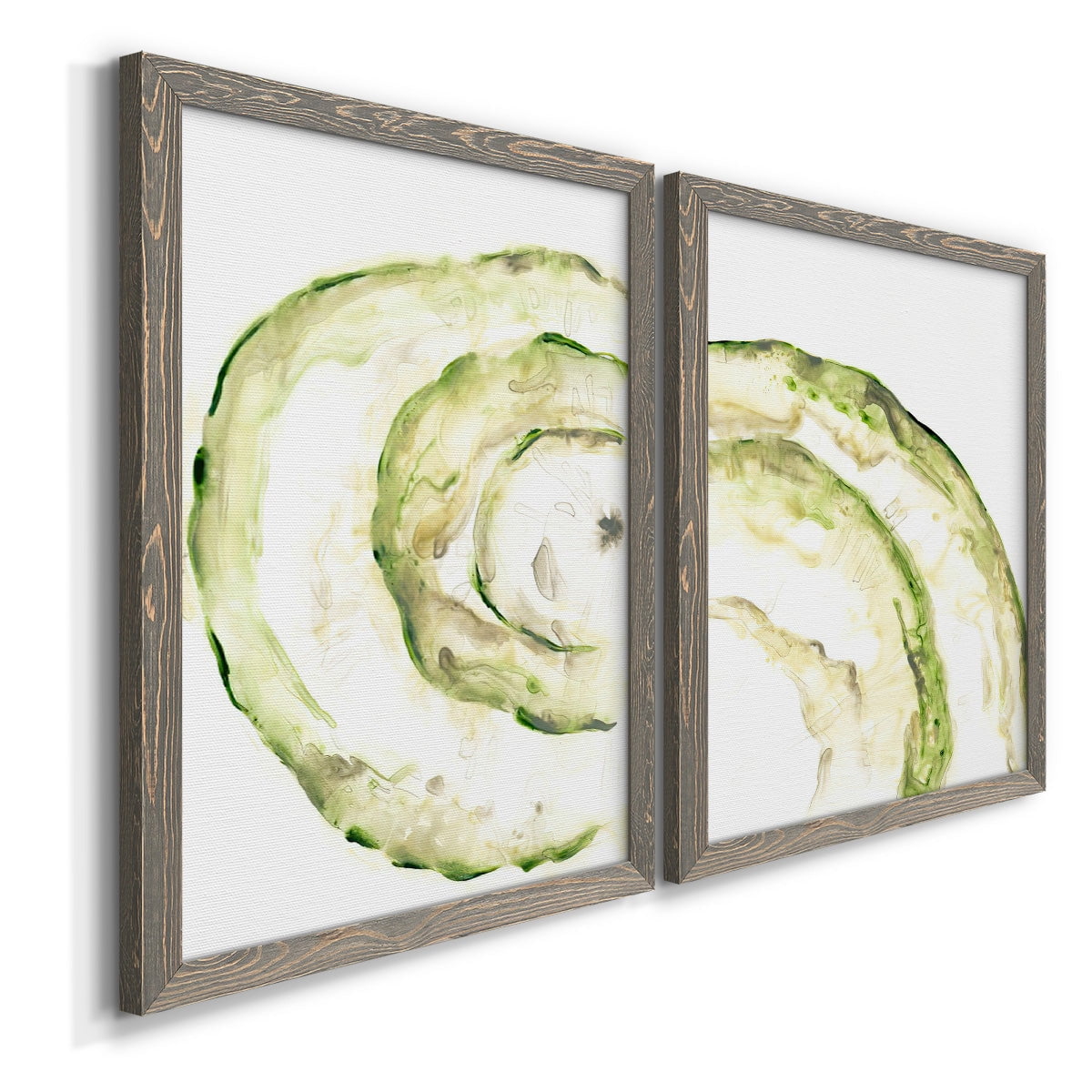 Lichen Halo V - Premium Framed Canvas 2 Piece Set - Ready to Hang