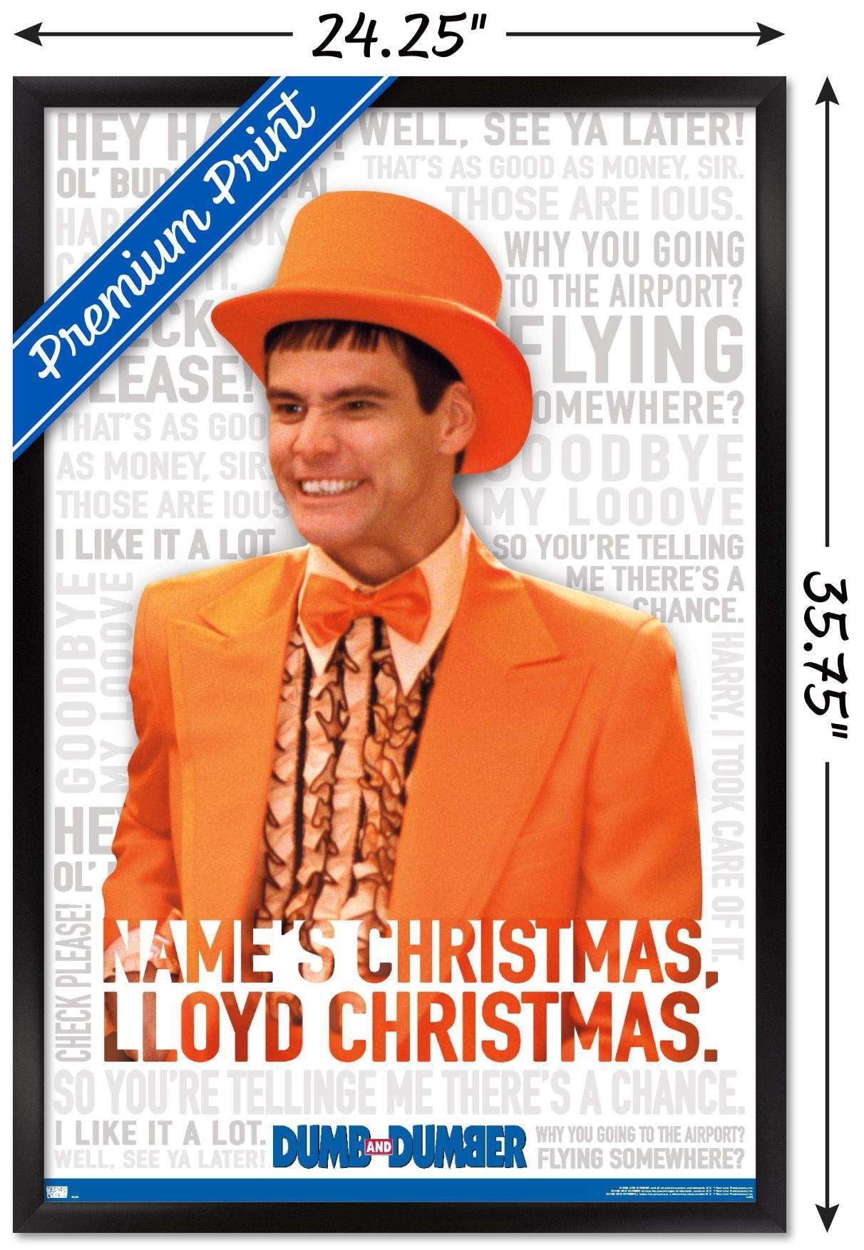 Dumb and Dumber - Suit Wall Poster, 22.375" x 34", Framed