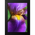 thumbnail image 2 of Schell, Jennie Marie 11x14 Black Modern Framed Museum Art Print Titled - Purple Bearded Iris Flower, 2 of 5