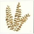 thumbnail image 3 of Great Art Now Gilded Fern by Chris Paschke 3 Piece Canvas Art Set Each 14W x 14H, 3 of 4
