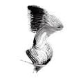 thumbnail image 3 of "Palladio 4D Boost Volumizing Mascara, Brown", 3 of 4