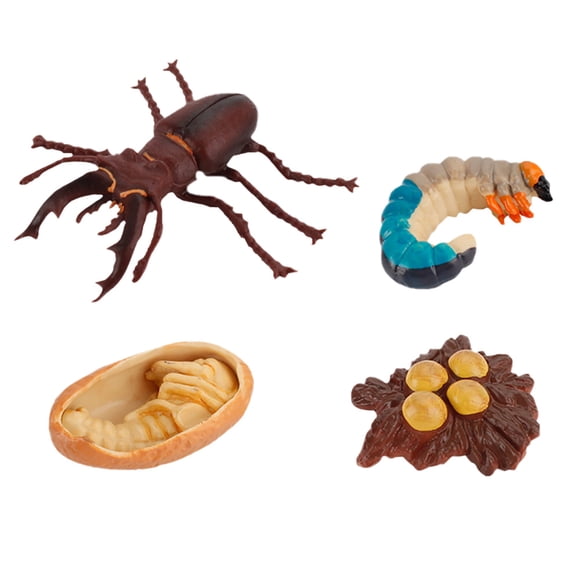 BEADCEST 4Pcs Bugs Life Toys Insect Growth Ornaments With Simulate Life Cycle Function For Kids Home Decoration