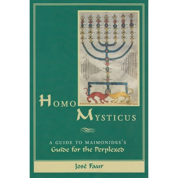 Homo Mysticus: A Guide to Maimonides's Guide for the Perplexed, (Paperback)