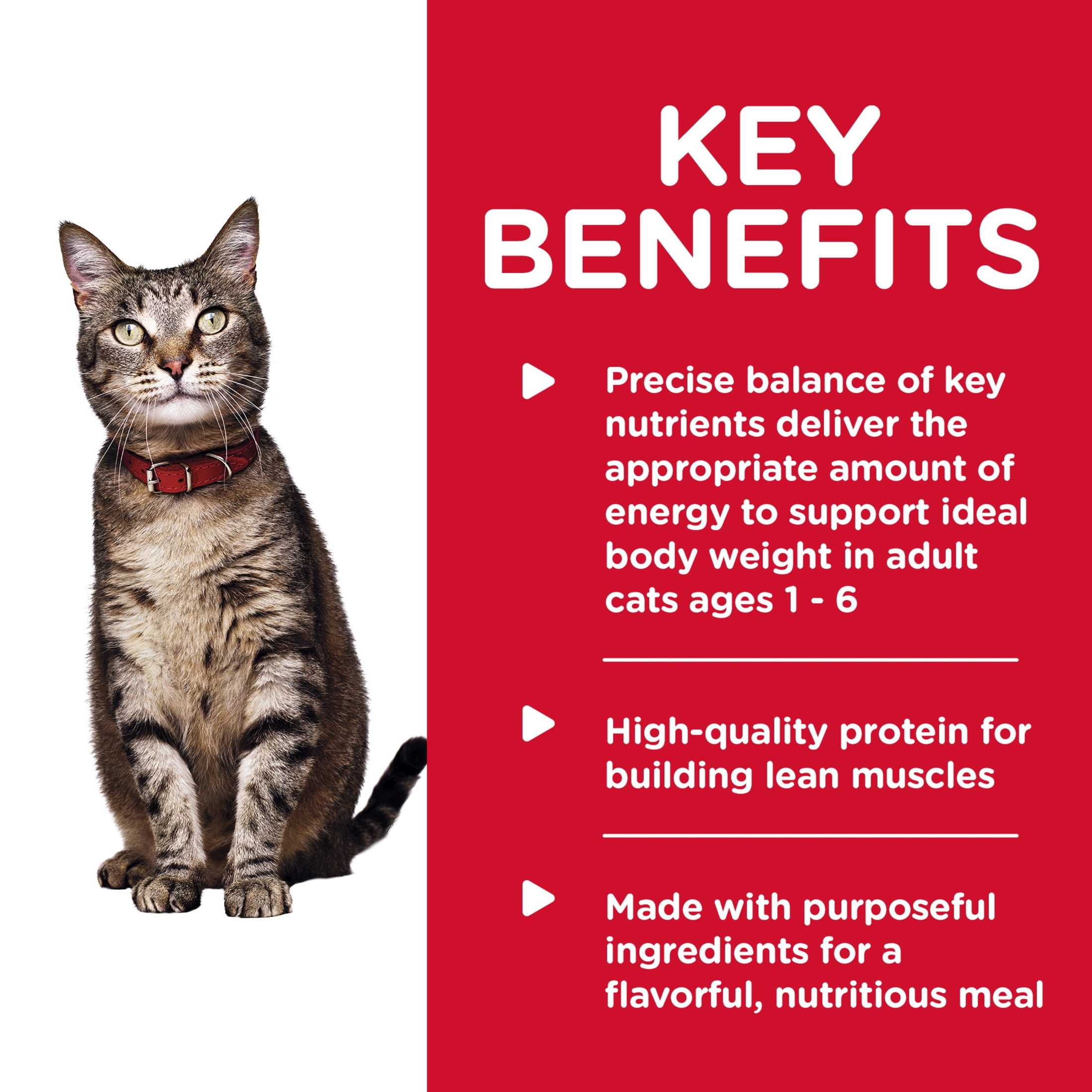 Hill's Science Diet Savory Turkey Wet Cat Food, 5.5oz Can 24pk