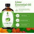 thumbnail image 6 of SVA Lime Essential Oil – 4 Fl Oz – 100% Natural Lime Oil - for Diffuser, Hair Care, Face, Skin Care, Aromatherapy, Scalp and Body Massage, Soap and Candle Making - with Dropper, 6 of 9