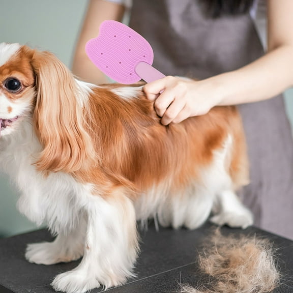 Homoyoyo Multifunctional Cat Grooming Brush PP for Pet Owners Travel Use 1 Piece