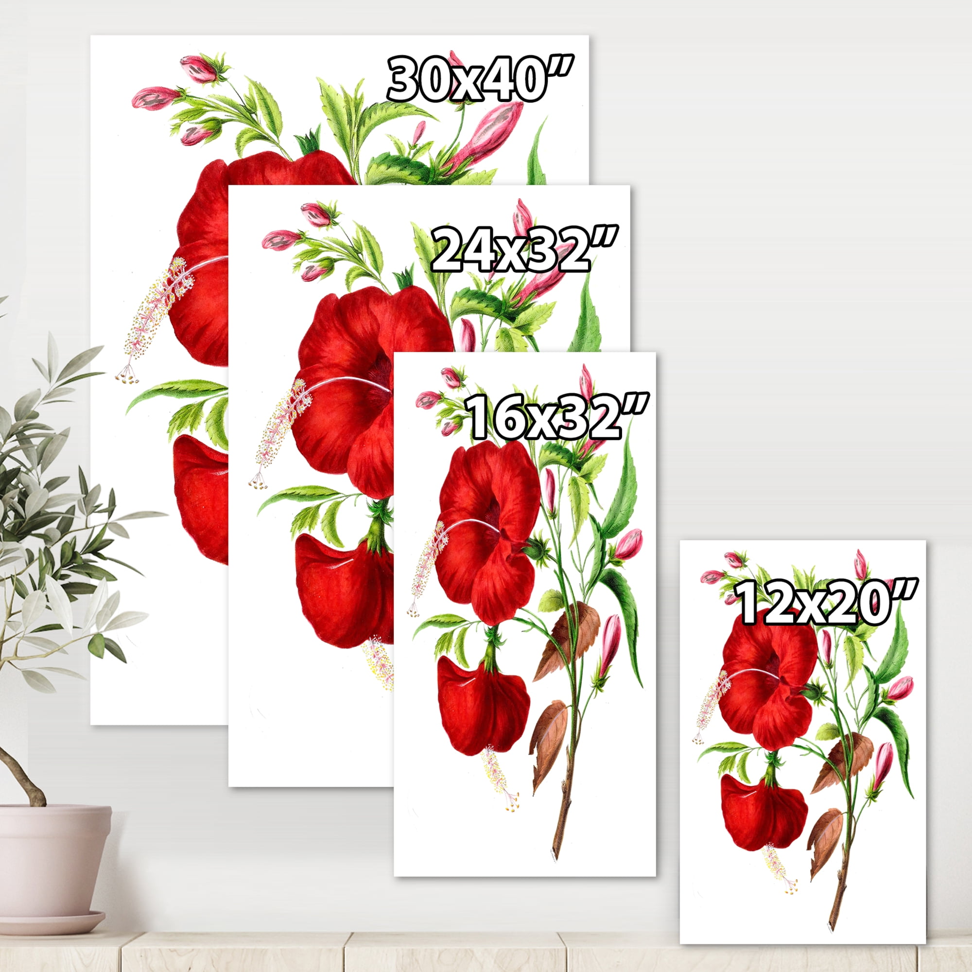 Designart ' Ancient American Flora I ' Traditional Canvas Wall Art Print