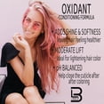 thumbnail image 4 of Level 3 Oxidant Hair Developer - Creme Developer for Hair Dye and Hair Bleach, 4 of 7