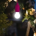 thumbnail image 1 of Portable Lights Battery Powered Pull Rope Light Bulb,Led Hanging Light, Color Battery Powered Light Bulb, Outdoor Camping Light, Portable House, Childrens Light, Party Backyard Decoration, 1 of 3