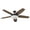 Bronze, variant on Honeywell Carmel 48" Brushed Nickel Ceiling Fan with Lights and Remote Control
